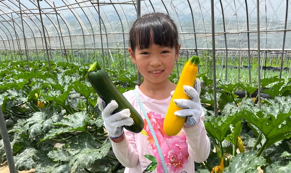 【2026年暑假】在八岳农业大学校体验采收——“蔬菜博士之旅”，也可作为自由研究课题 画像
