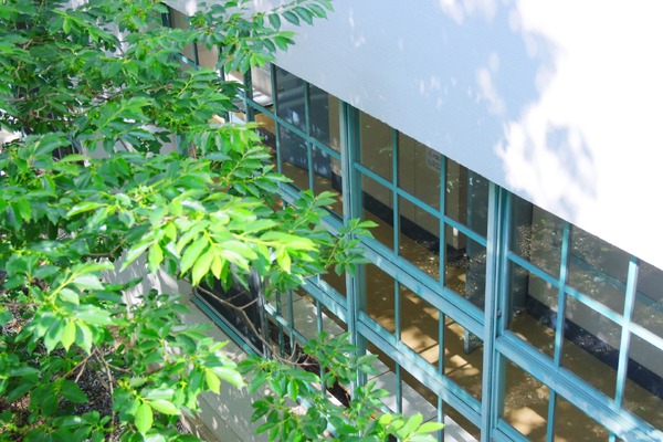 【初中入学考试】本周末可参加的初高中一贯制学校“校园参观”活动（8月8日）……樱荫、品川女子等10所学校 画像