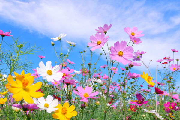 敬老日、中秋节和“读书之秋”……9本适合亲子共读的绘本精选 画像