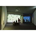 以往巡回展场的展览实景