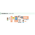 紧急接种流程(示意图)