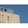 图片仅供参考