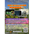 向大自然学习的大家学校