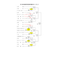 第108届全国高中棒球锦标赛爱知县预选赛 对阵表(截至6月29日)