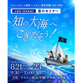 面向小学4至6年级学生的暑期研讨会