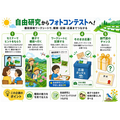 从自由研究到摄影比赛!