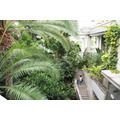 板橋区立熱帯環境植物館