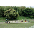 在京都龟冈校区内的稻田里,正在进行实习课的学生们