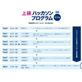 高级黑客马拉松项目