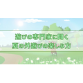采访视频《如何享受夏日户外活动》