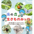 生物观察(海之森公园)