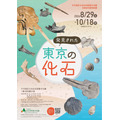 特别展览“东京出土的化石”