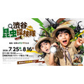 涩谷昆虫探险队~发现!世界各地的甲虫与锹甲虫~