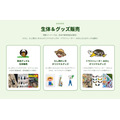 现场演出及周边商品销售