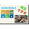 SDGs展板展示