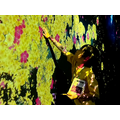 儿童工作坊现场(参考图片) “森大厦数字艺术博物馆:爱普生 TeamLab Borderless”