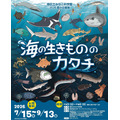 2026年夏季特展《海洋生物的形态》