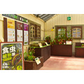 第5温室内的展览情况