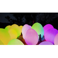 teamLab《既独立又相互呼应的生命之森——桉树》 (c) teamLab