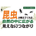 公开讲座“昆虫告诉我们:自然界中无形的联系”