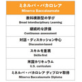 米涅尔瓦·巴卡洛雷亚(Minerva Baccalaureate)
