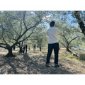 大创“环”粉丝之旅第二弹：“思考自然与未来——濑户内·丰岛橄榄采摘与环境学习之旅”