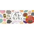 春季企划展「石头的百态」