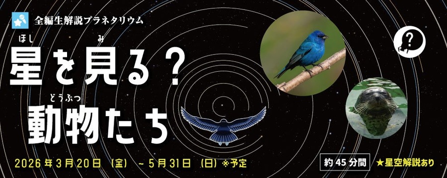 全程现场解说：在天文馆看星星？动物们