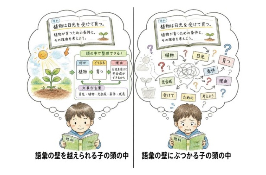 “词汇壁垒”的意象
