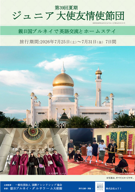少年大使友好代表团