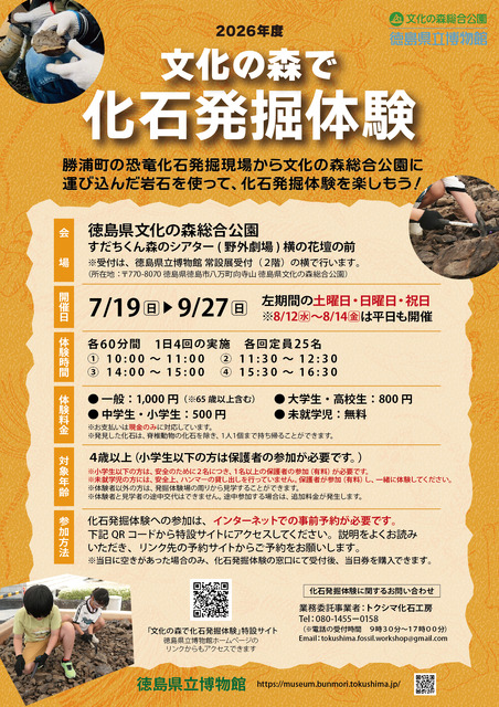 在文化之森体验化石发掘