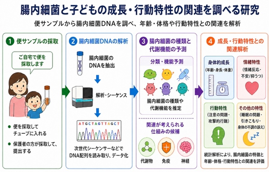 一项关于肠道菌群与儿童生长发育及行为特征之间关联的研究