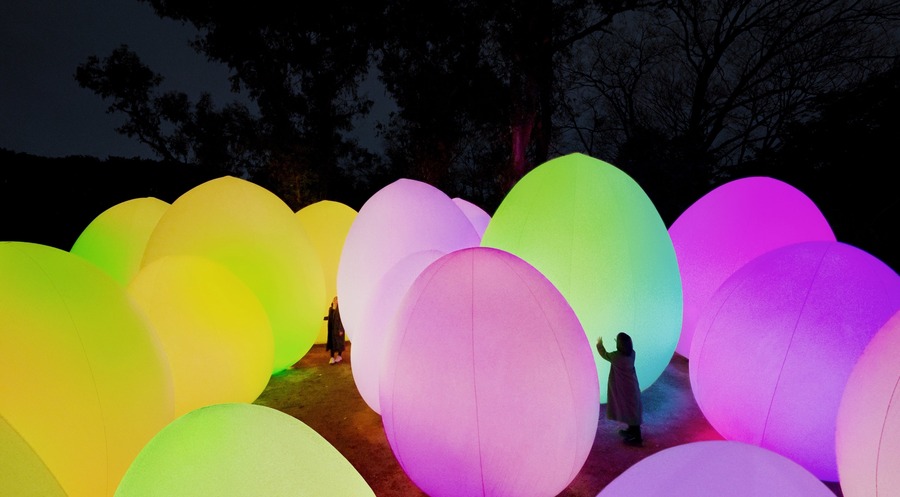 teamLab《既独立又相互呼应的生命之森——桉树》 (c) teamLab