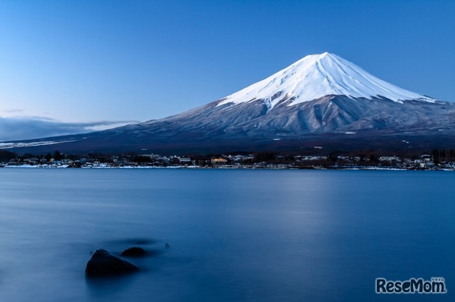 ※图片仅供参考